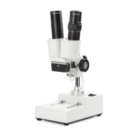 Estereomicroscopi binocular Novex AP-2. Columna 20x