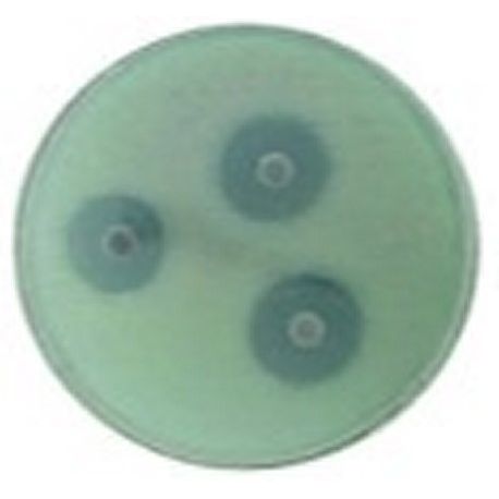 Identificació microbiana optoquina L-9501. Tubs 2x50 discs