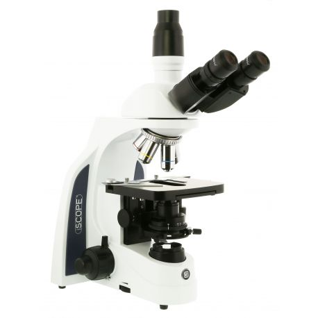 Microscopi planoacromàtic Iscope IS-1153-PLi. Triocular 40x-1000x