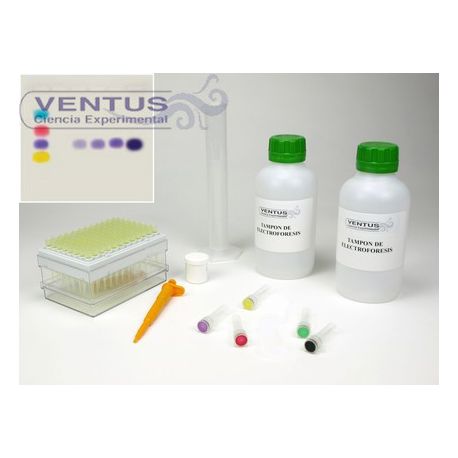 Kit simulación PCR V-44545