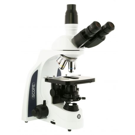 Microscopio planoacromático Iscope IS-1153-EPLi. Triocular 40x-1000x